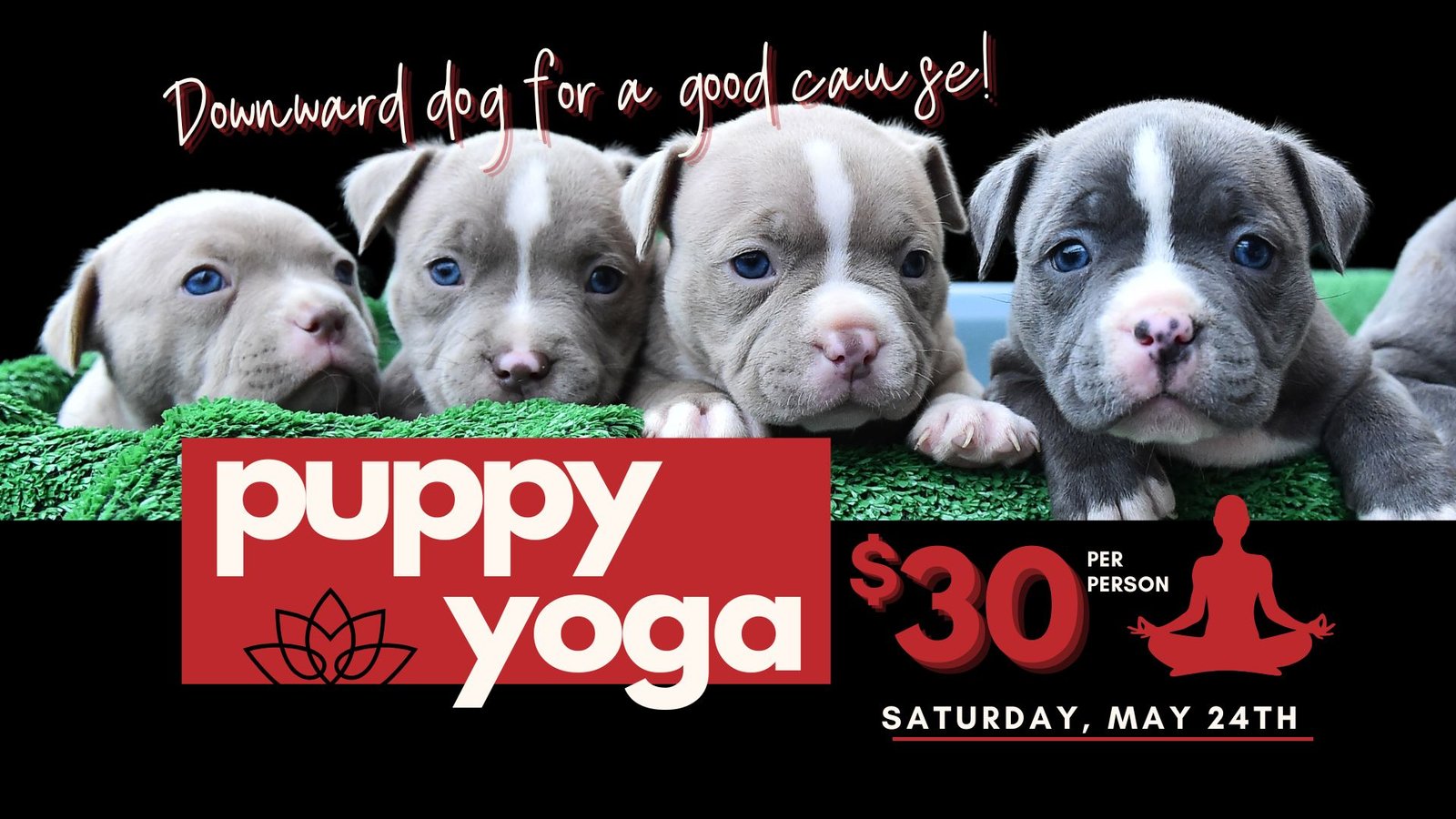 Puppy Yoga